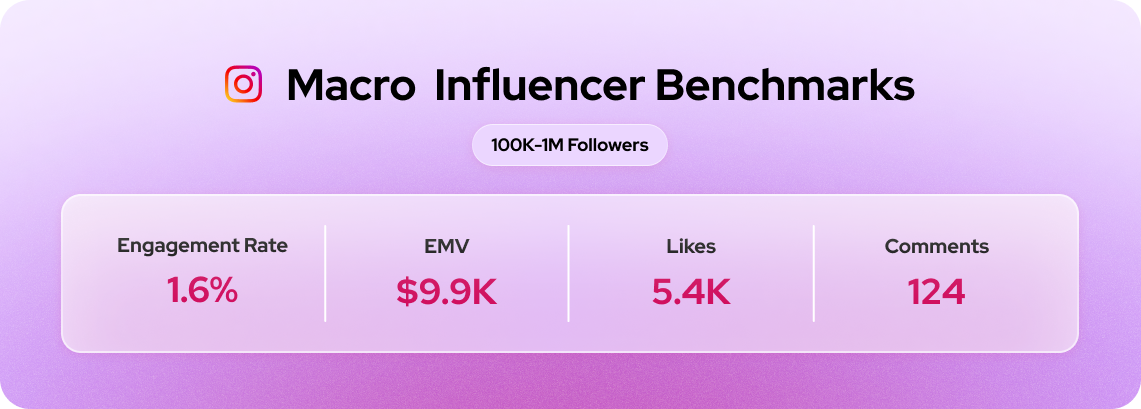 Macro influencer benchmarks