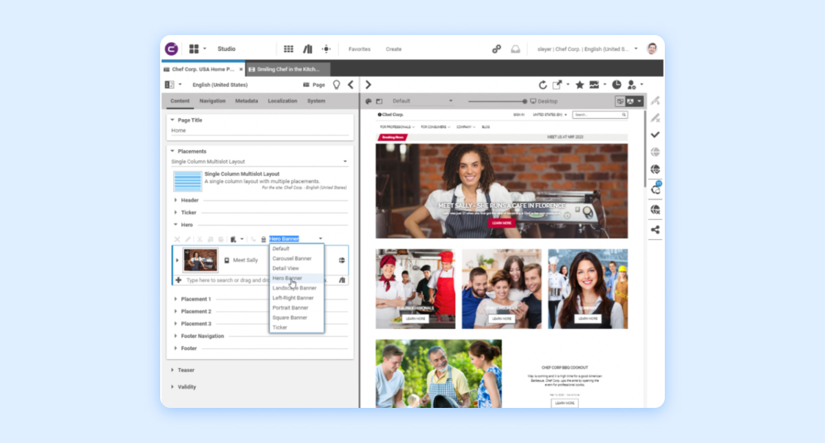 coremedia brand management tool