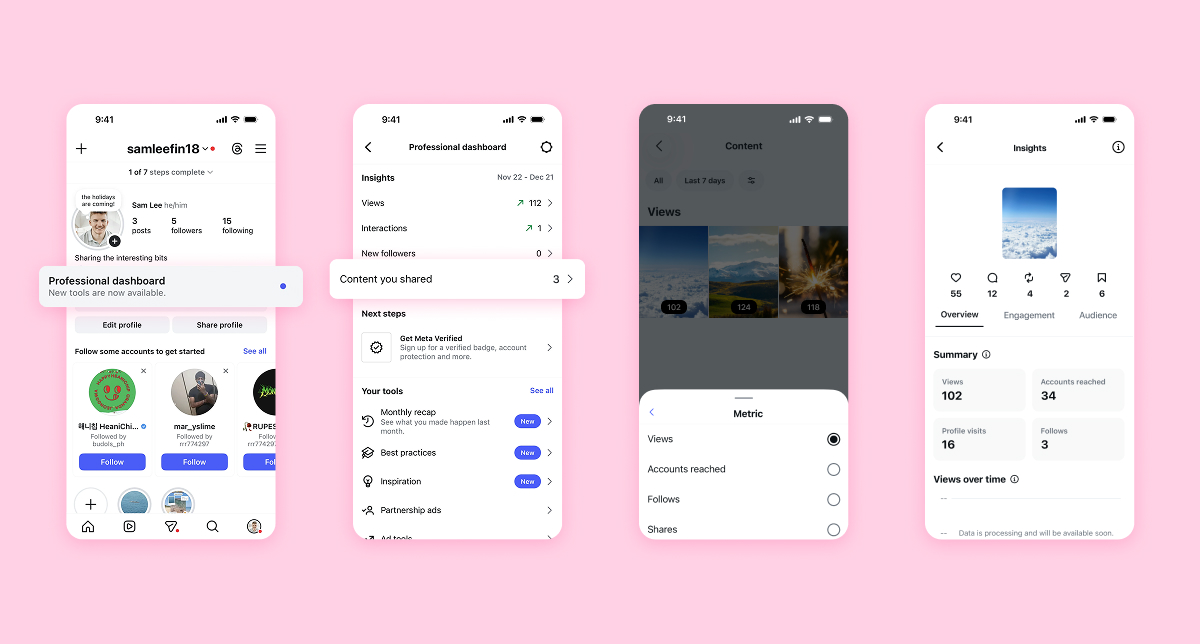 Instagram Professional dashboard showing where to access Story Insights.