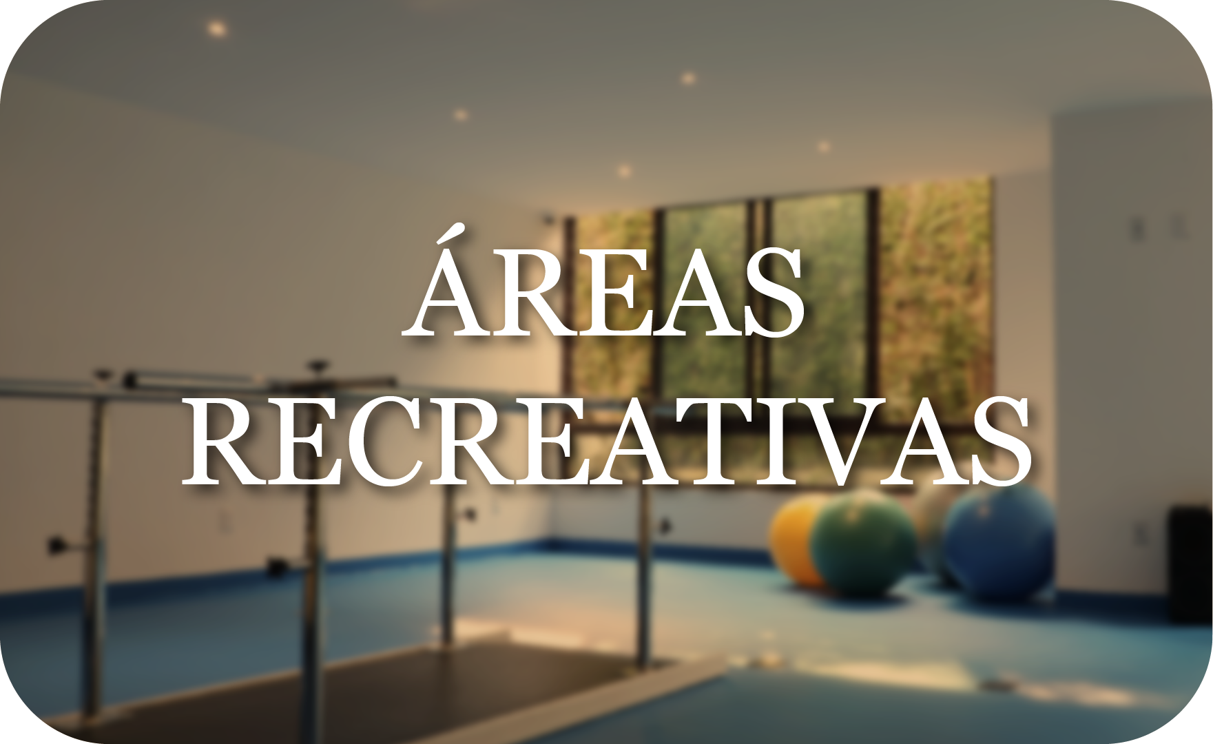 Áreas recreativas de la residencia: gimnasio, ludoteca