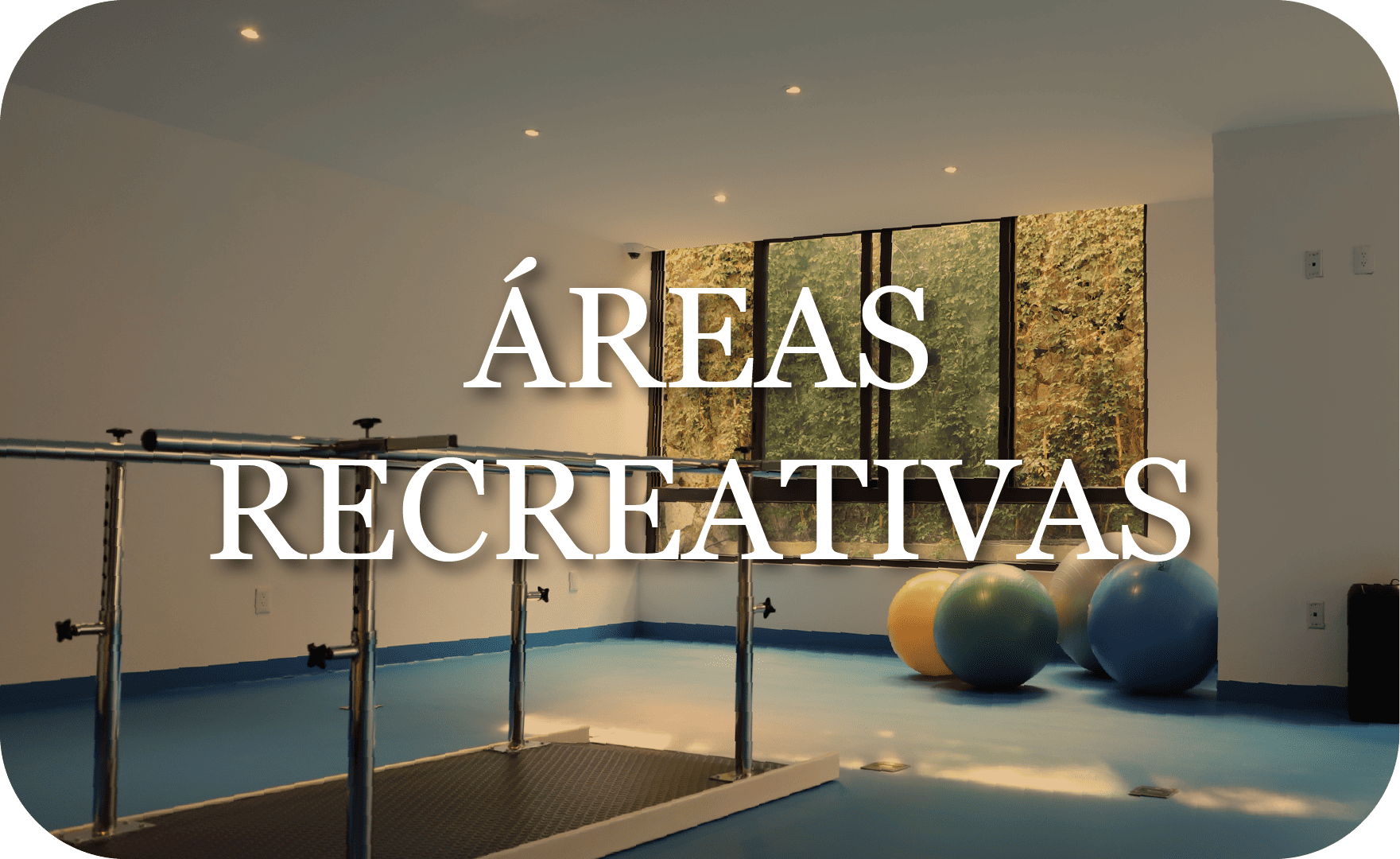 Áreas recreativas de la residencia: gimnasio, ludoteca