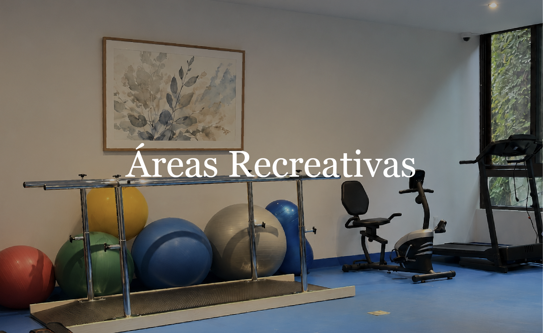 Áreas recreativas de la residencia: gimnasio, ludoteca