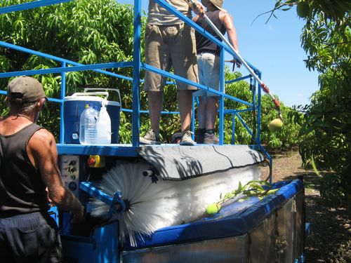 Results of the Project