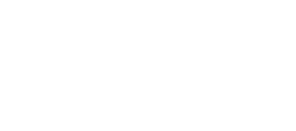 circle icon