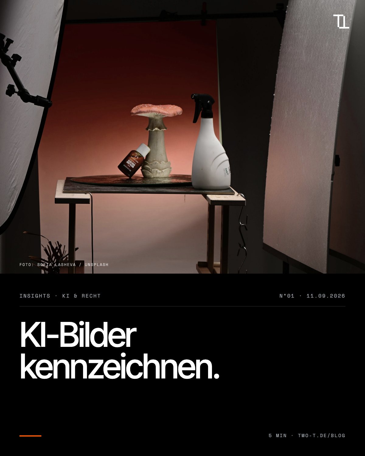 Cover: KI-Bilder kennzeichnen