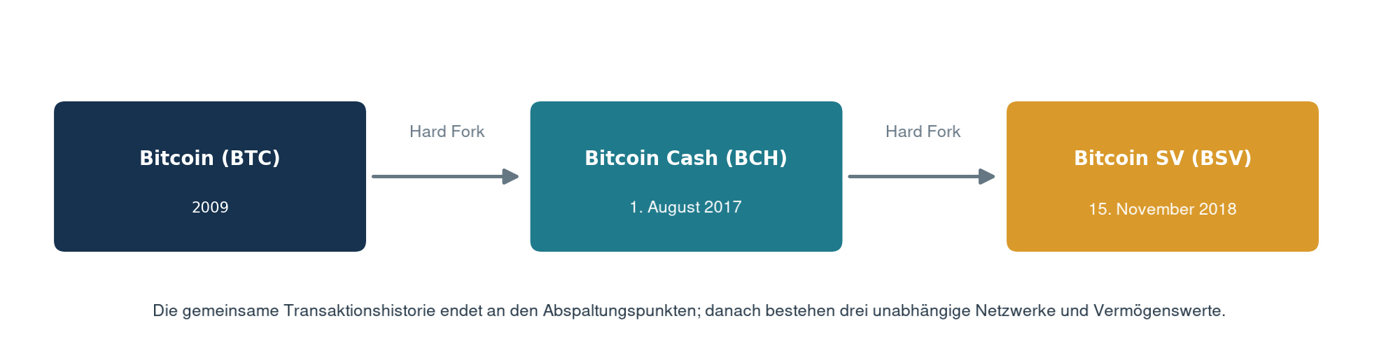 Schematische Darstellung der Entwicklung des Bitcoin-Netzwerks von BTC über Bitcoin Cash (BCH) bis hin zu Bitcoin SV (BSV).