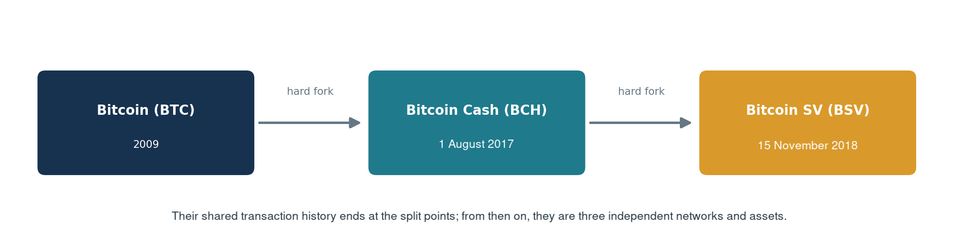 A diagram showing the evolution of the Bitcoin network from BTC through Bitcoin Cash (BCH) to Bitcoin SV (BSV).