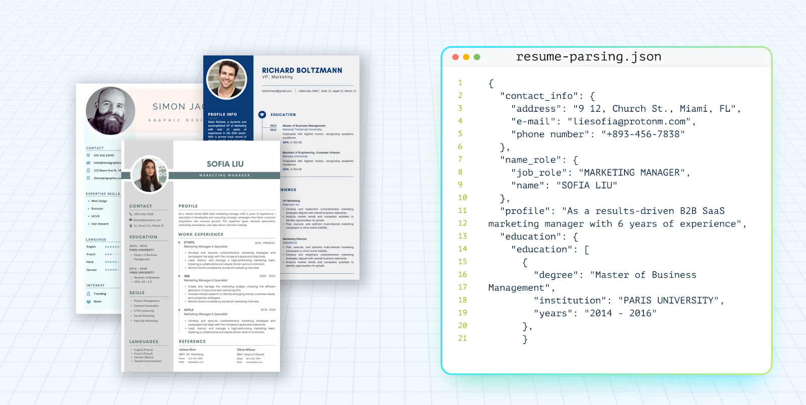 Resume parsing software data extraction json