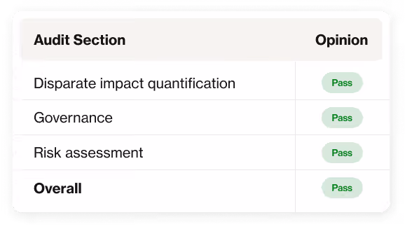 AI hiring bias audit section