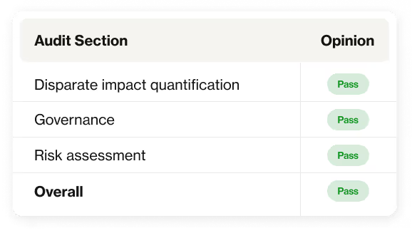 AI hiring bias audit section
