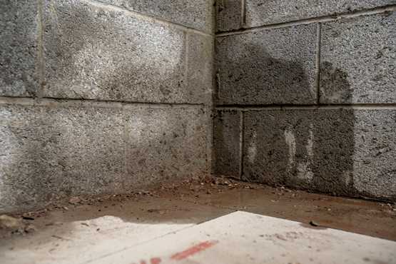 Damp concrete block basement corner with water stains and wet floor showing moisture intrusion