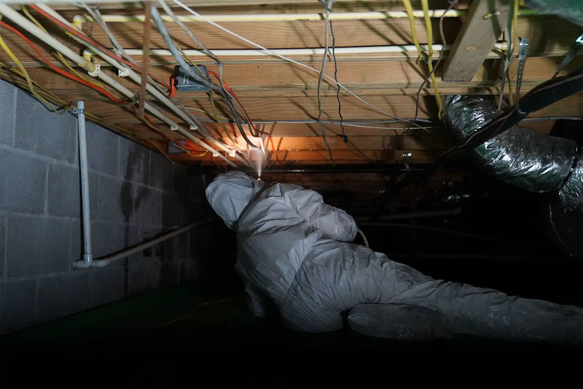 Mold treatment service banner showing professional remediation of crawl space and basement mold in Alabama