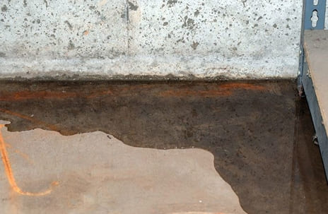 Standing water pooled at base of a concrete basement wall, showing water intrusion and foundation moisture.