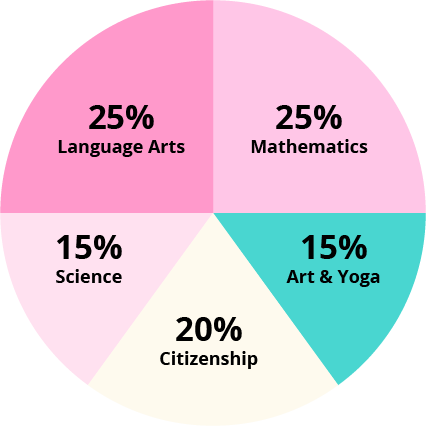 Flamingo curriculum breakdown pie chart