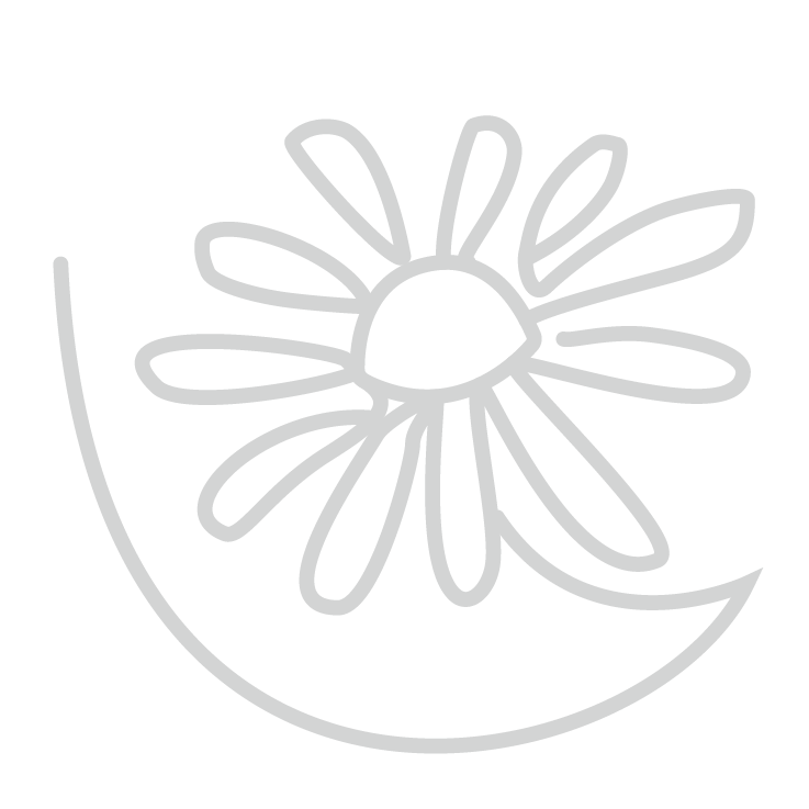 Lingerie Fit Lab flower logo 