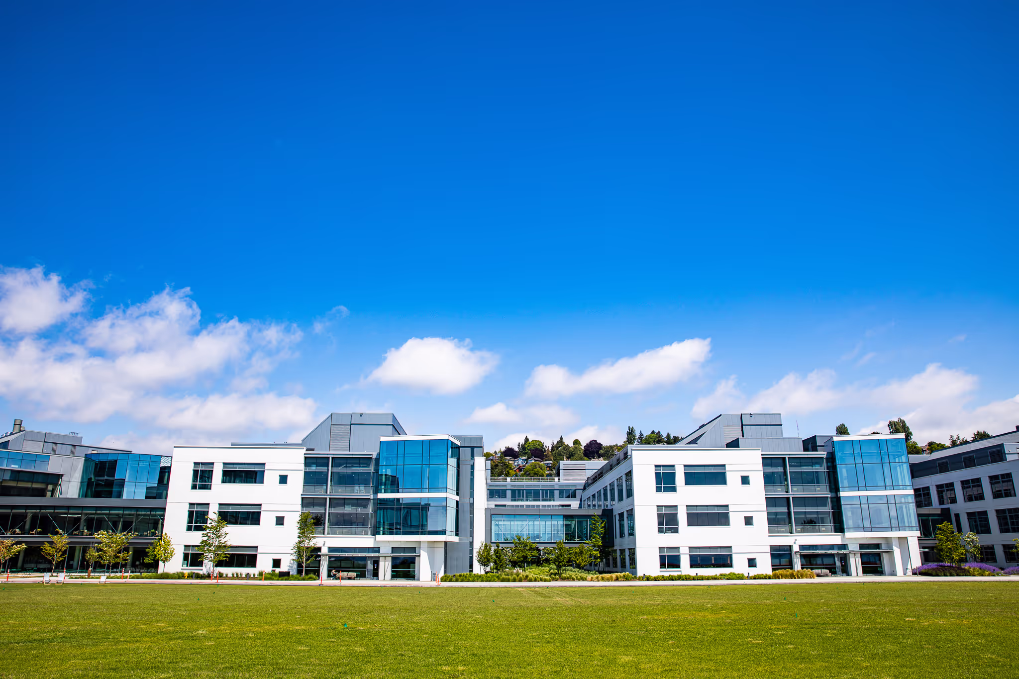 A perfectly mowed field of grass in front of a commercial building. 