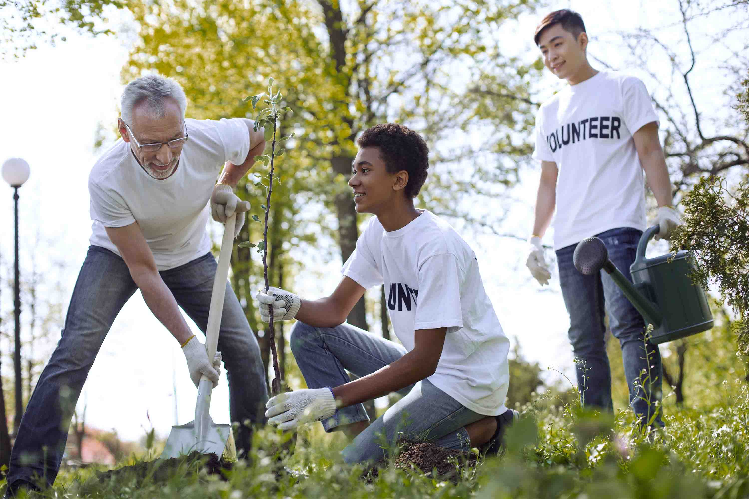 Volunteers of all ages planted a tree in a forest during EcoRoots' tree-planting activity.