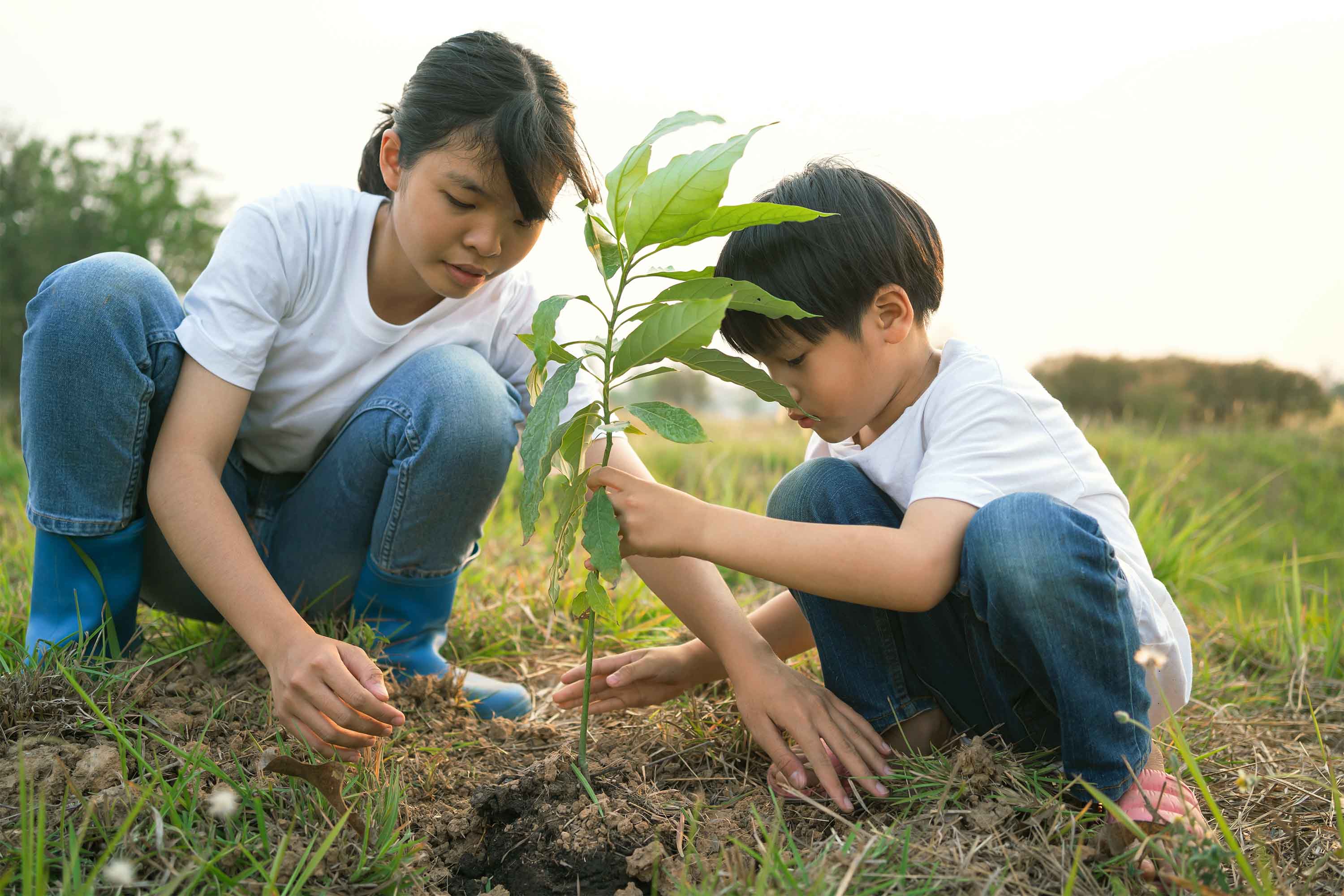 A mother and child planting a seedling together in a field.
