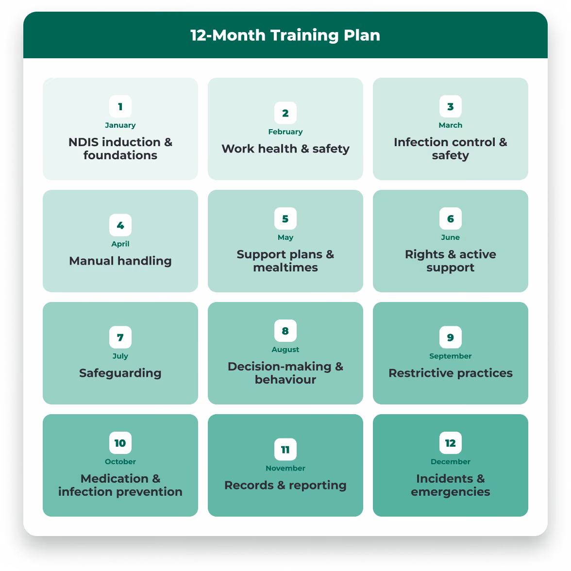12-month intensive onboarding plan showing monthly training topics from NDIS induction to incidents and emergencies.