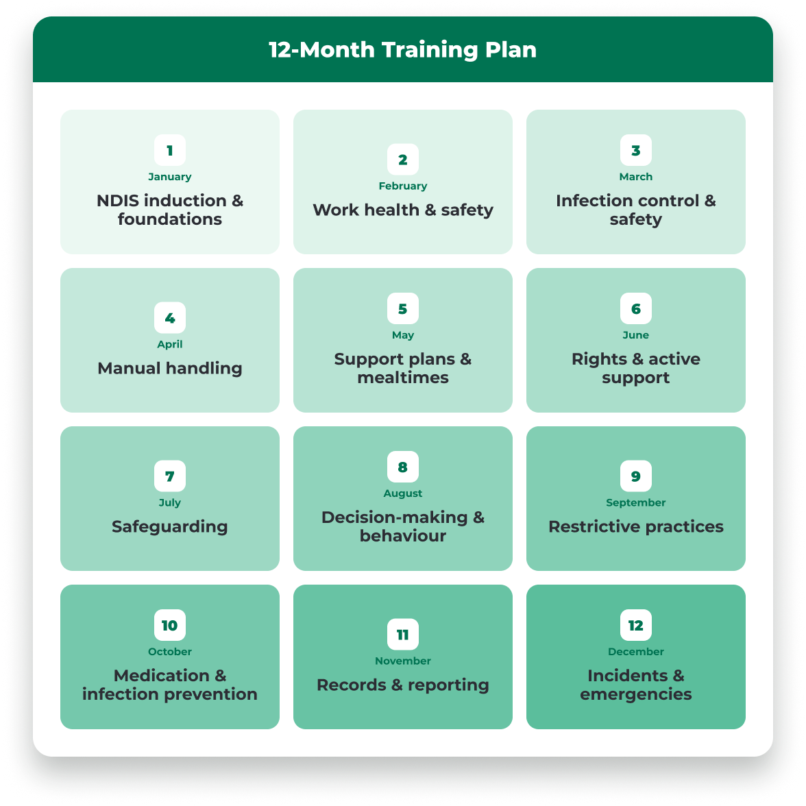 12-month intensive onboarding plan showing monthly training topics from NDIS induction to incidents and emergencies.