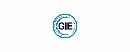 the logo for a company GIE