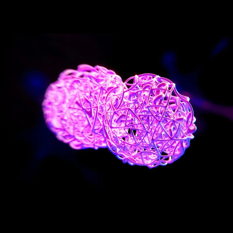 Custom AI Development Company In USA