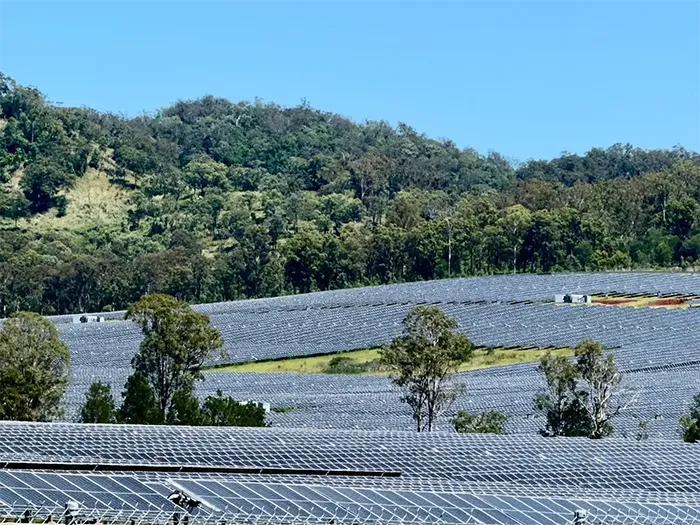 A large-scale solar farm featuring rows of photovoltaic panels installed across a sloping green landscape, bordered by a dense forest under a clear blue sky.