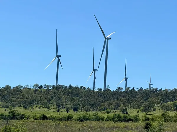A cluster of five white wind turbines stands prominently on a tree-covered ridge against a clear blue sky.