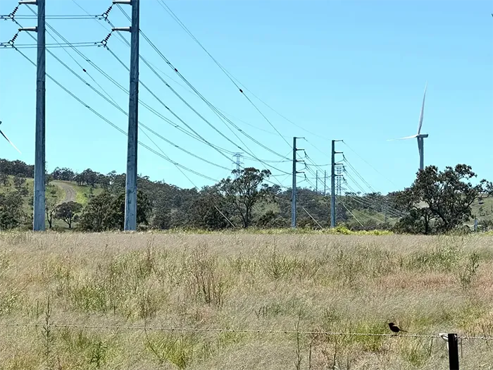 Large power transmission poles and lines span a grassy field, with a wind turbine and forested hills in the background.