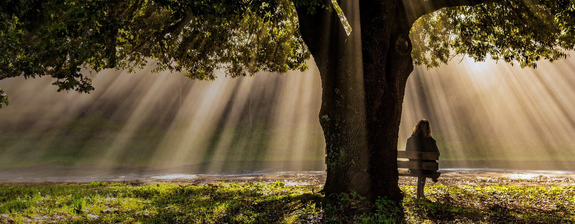 Woman sitting on a bench in the park during sunrise