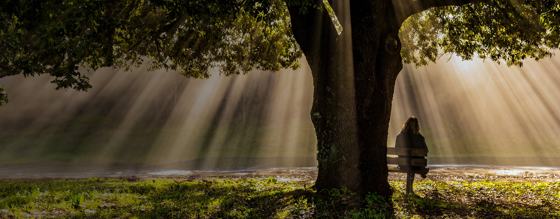Woman sitting on a bench in the park during sunrise