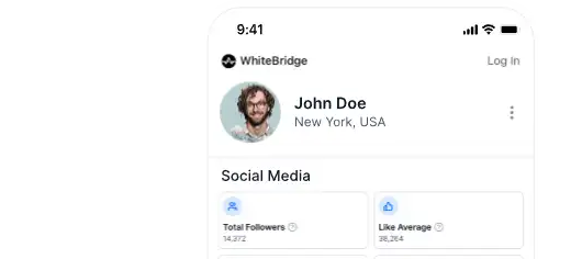 WhiteBridge report preview showing cross-platform social media footprint analysis.