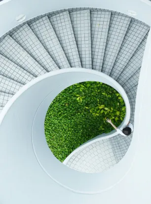 Green Energy