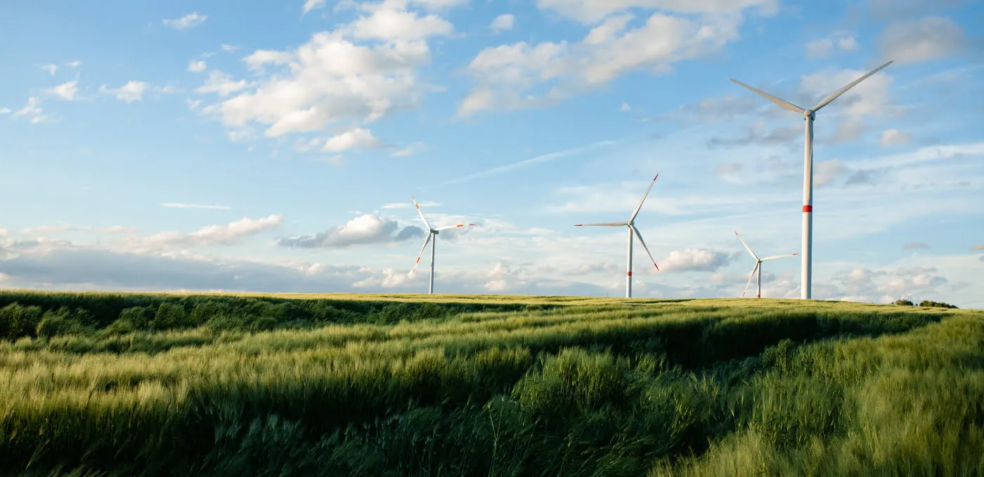Planen Service Angeln Windpark