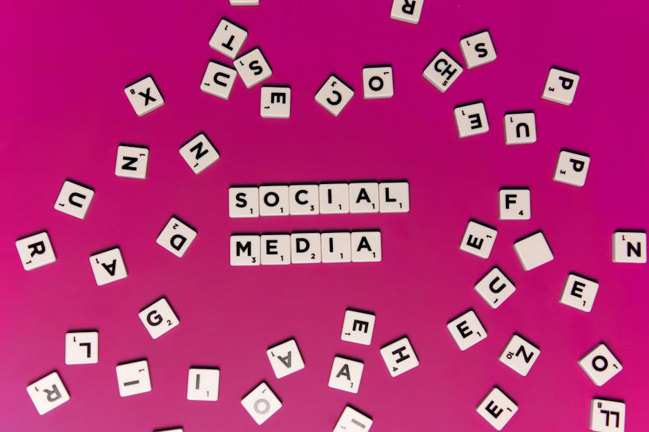 Beginner’s Guide to Social Media Management Tools
