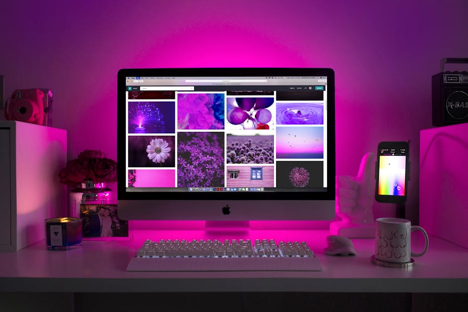 web hosting - website hosting for small business
