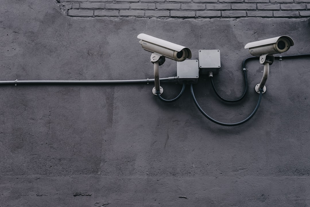 Safe and Sound: The Security of .io Domains