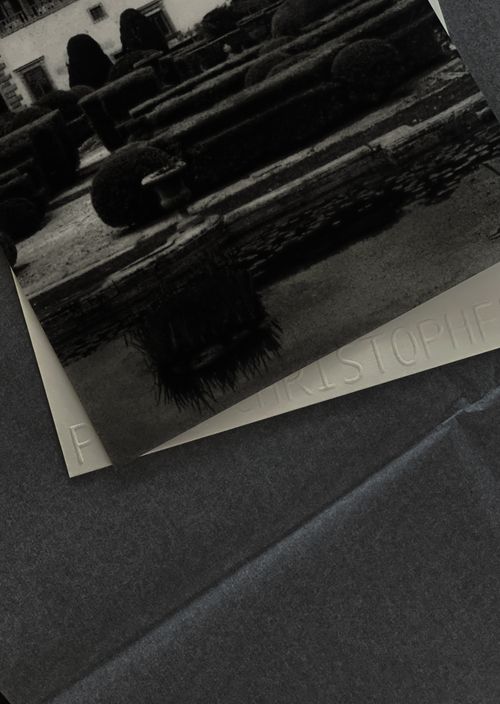 Bespoke wedding visual identity for Cleo and Tim — save the date card and custom wedding website by Wedding Mark