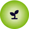 leaf icon