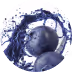 blueberry fruit