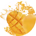 mango fruit