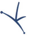 Dr Jorge Mario R Logo