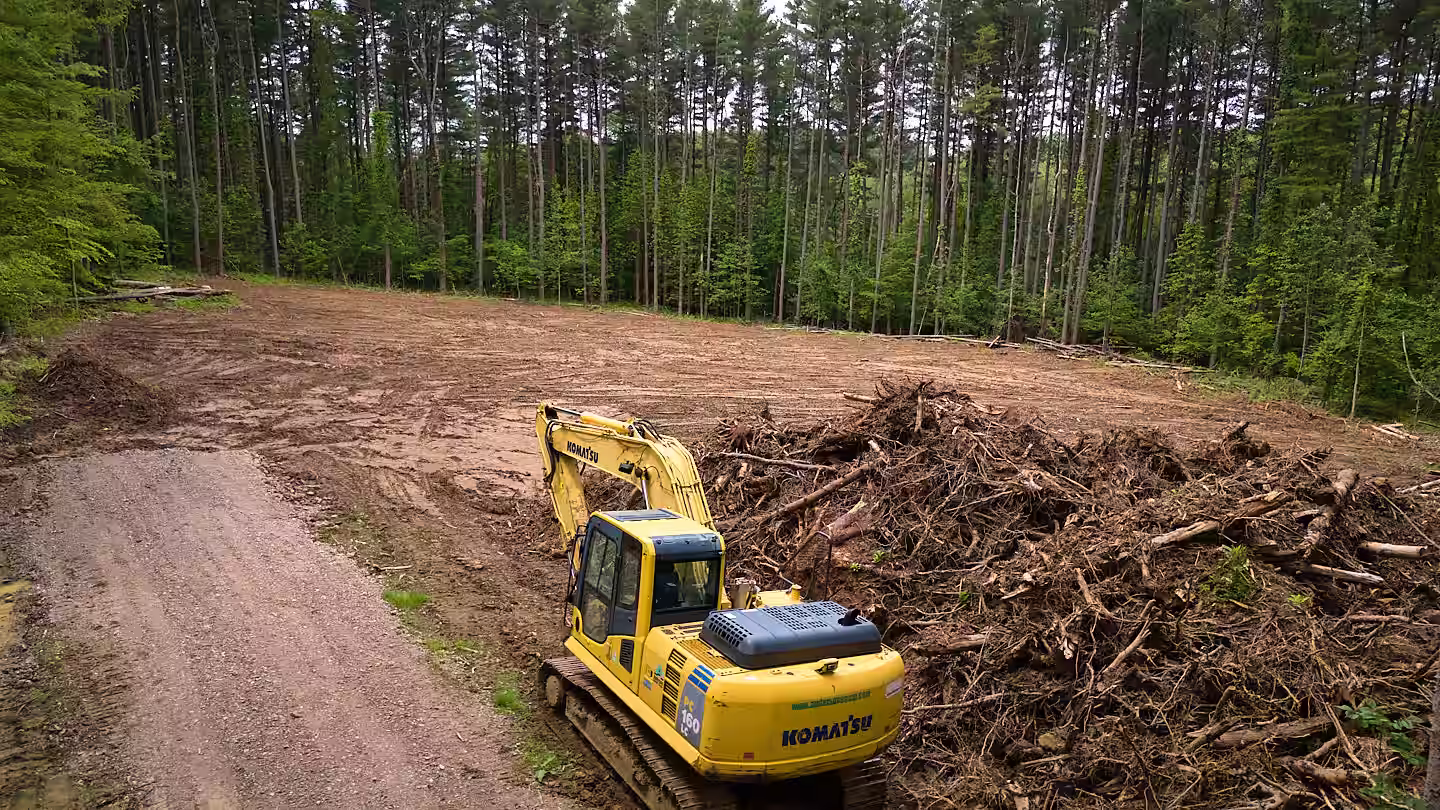 Excavator driving next to a brush pile next o a clearing in a forest of pine trees