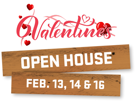Valentines open house Feb 13 14 and 16