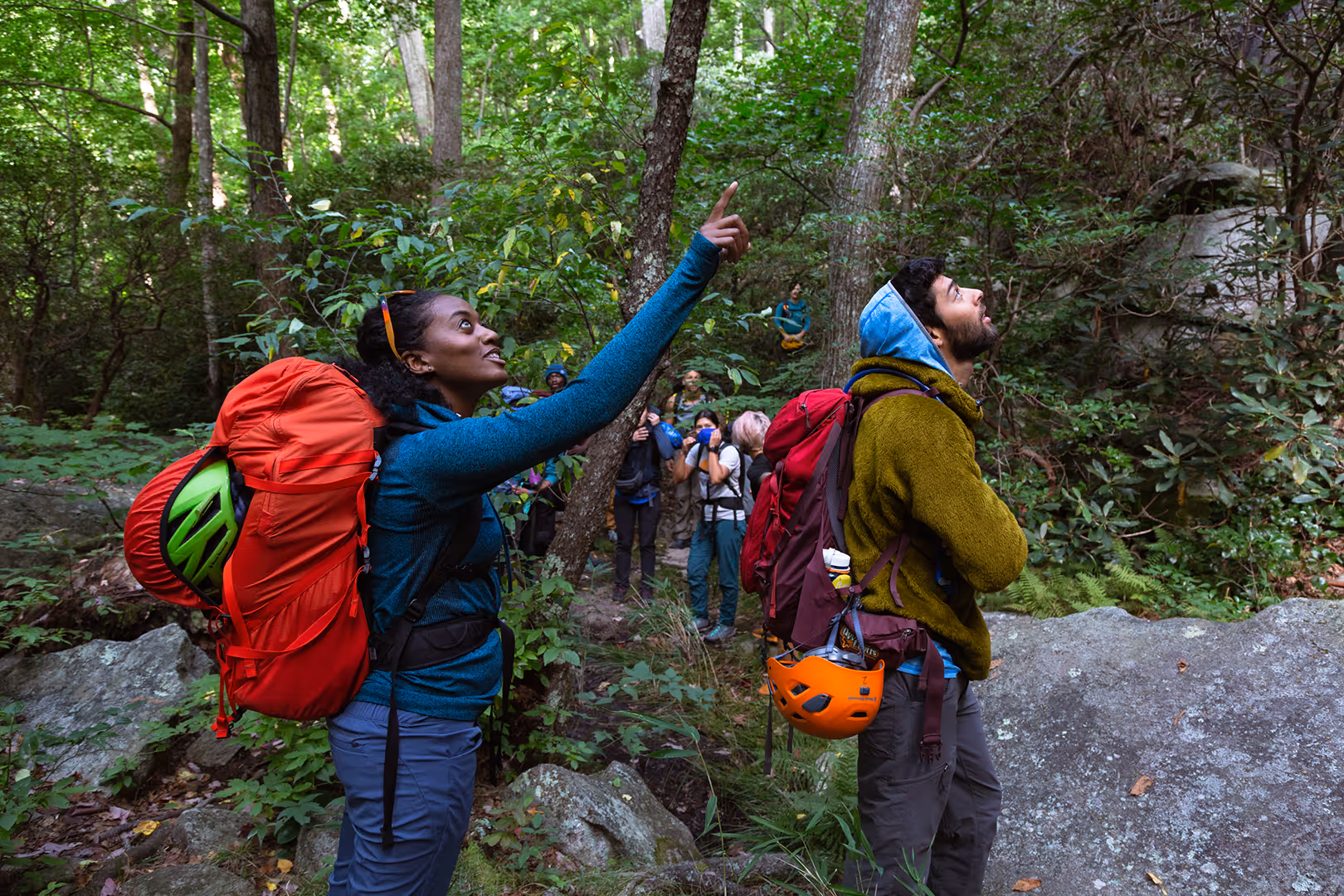 A woman with a backpack points while a group of hikers look up in a forest.