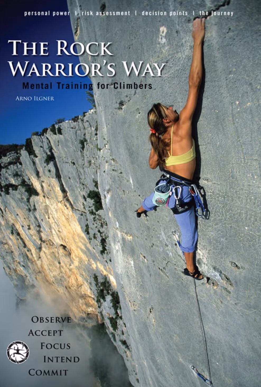 A climber in a harness scales a steep rock face, showcasing focus and determination.