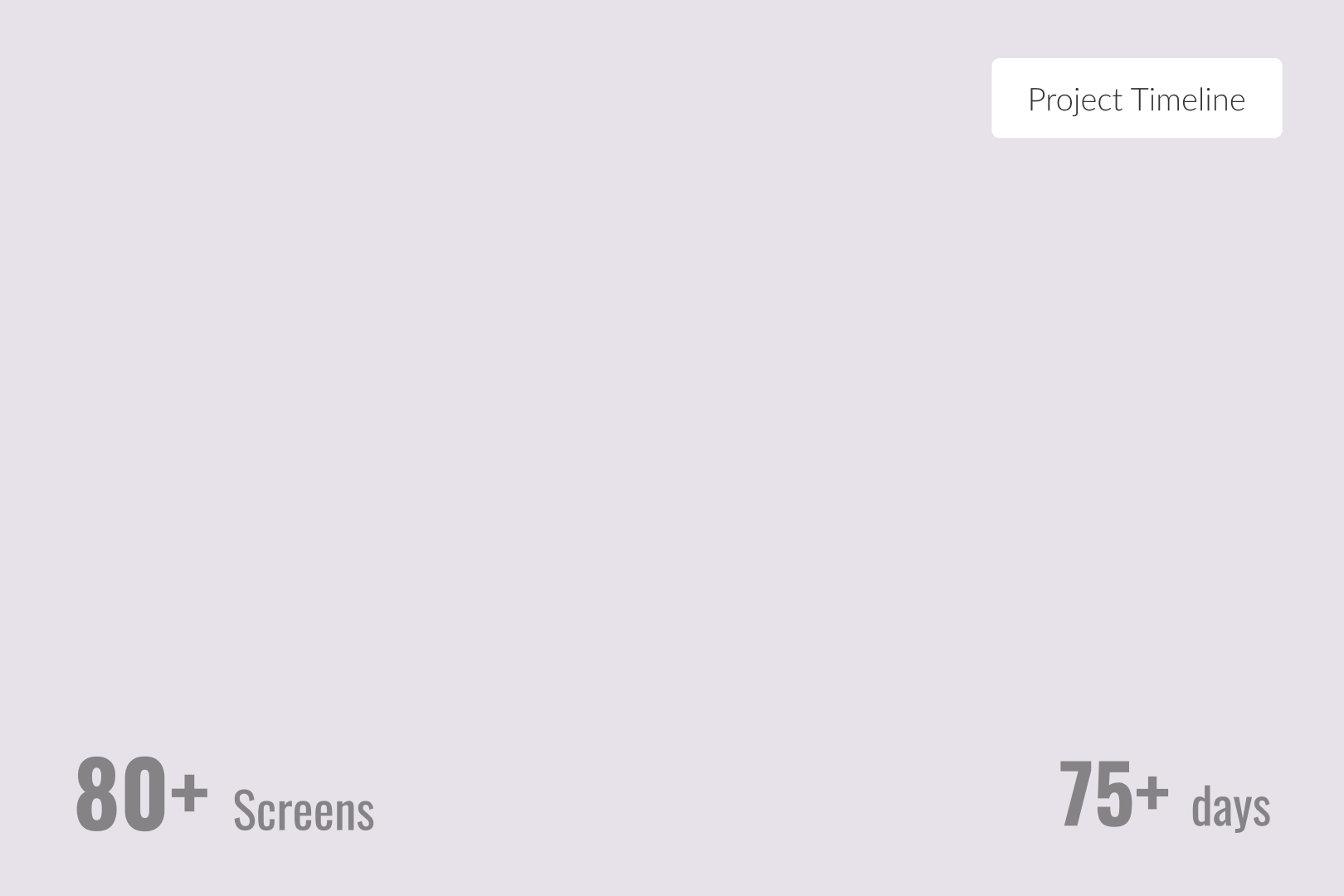 project timeline