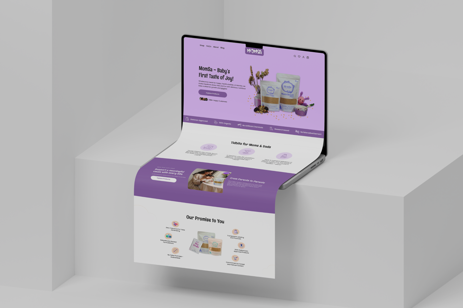 web design mockup