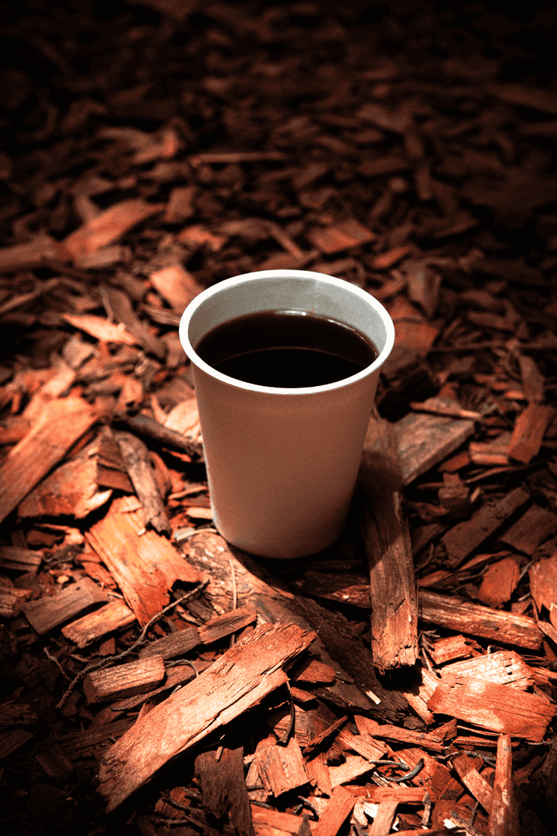 fotografia de vaso de cafe en medio de hojas