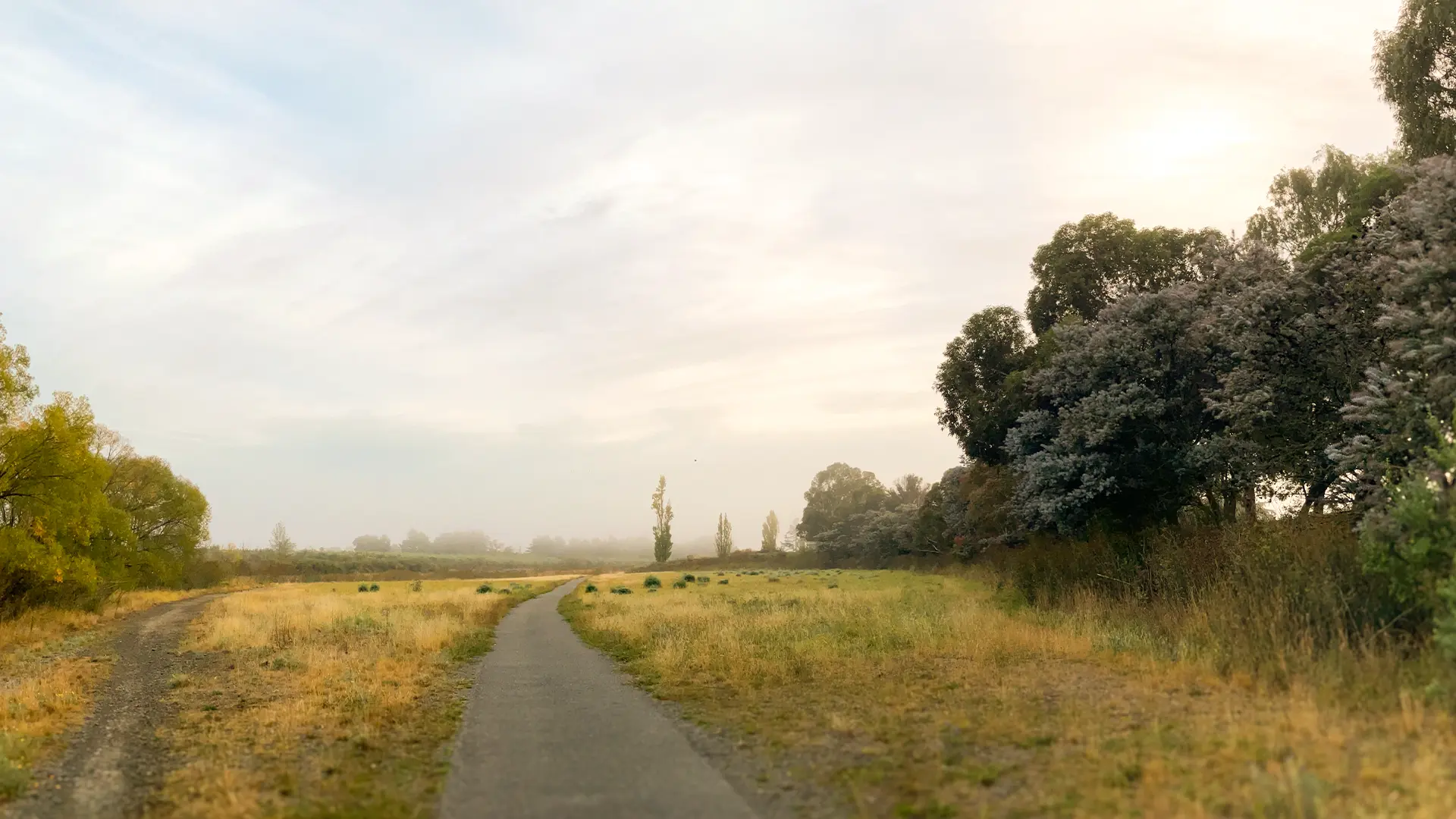 conversion cocktail image